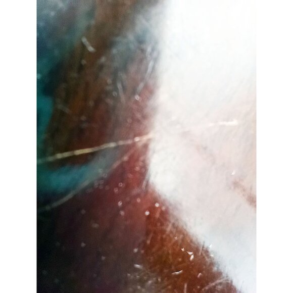 Leaf-Shaped Bowl Vintage Midcentury Modern Monkey Pod 8.5 Inch Rustic Kitchen - Picture 14 of 16